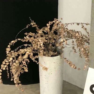 高唐福瑞交流群